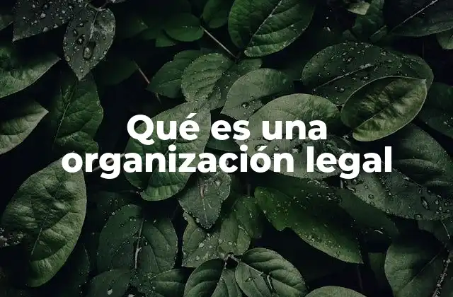 El proceso de formación de una organización legal