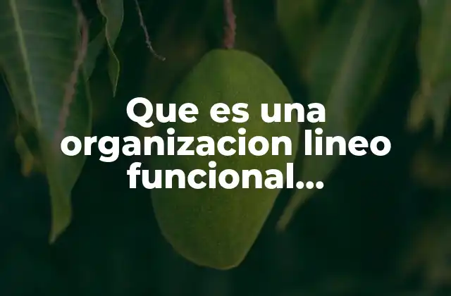 Que es una Organizacion Lineo Funcional Administracion