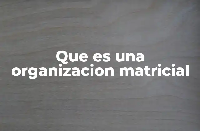 Que es una Organizacion Matricial