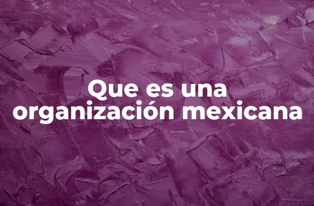Características comunes de las organizaciones mexicanas