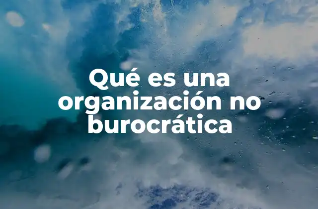 Qué es una Organización No Burocrática