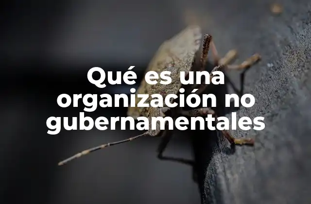 Qué es una Organización No Gubernamentales