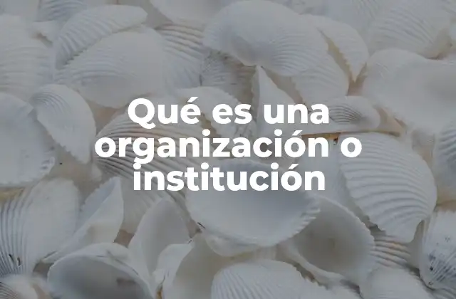 Qué es una Organización o Institución