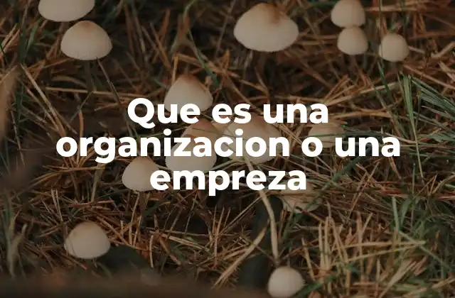 Que es una Organizacion o una Empreza