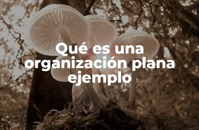Qué es una Organización Plana Ejemplo