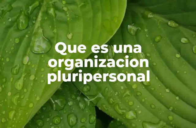 Que es una Organizacion Pluripersonal