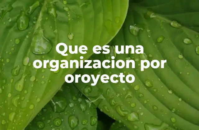 Que es una Organizacion por Oroyecto