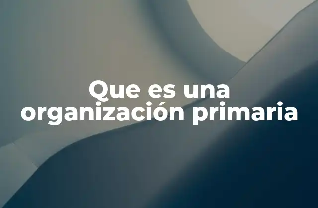 Que es una Organización Primaria