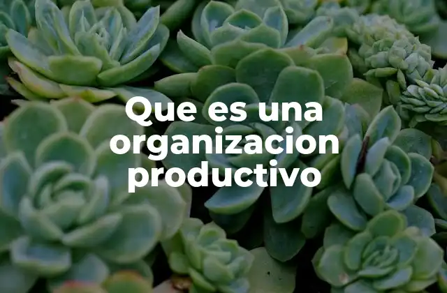 Que es una Organizacion Productivo