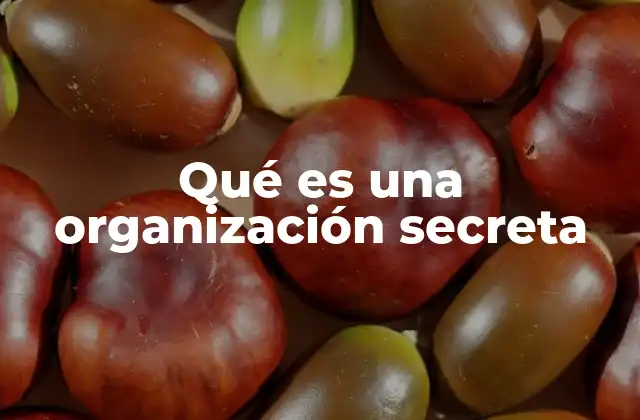 Qué es una Organización Secreta