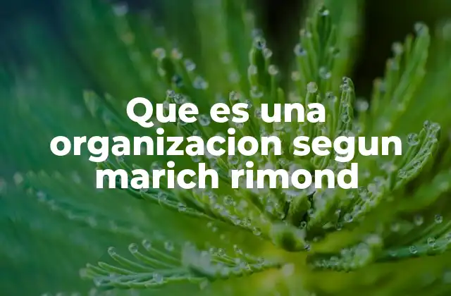 Que es una Organizacion Segun Marich Rimond