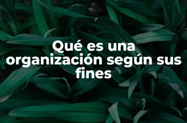 Qué es una Organización según Sus Fines