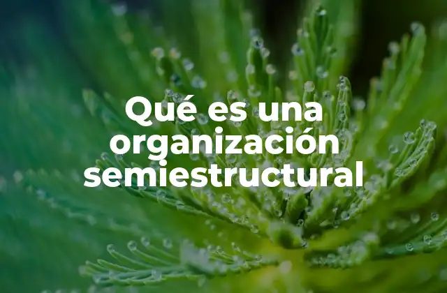 Cómo la organización semiestructural mejora la eficiencia empresarial