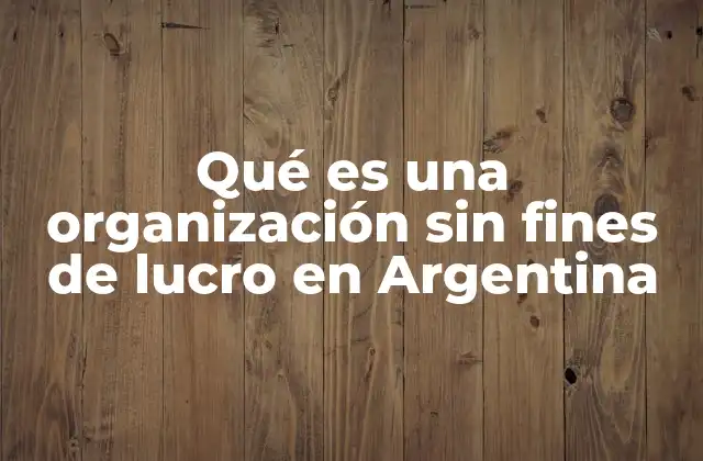 Qué es una Organización sin Fines de Lucro en Argentina