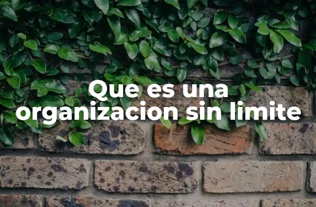 Que es una Organizacion sin Limite