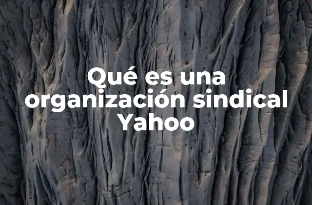 Qué es una Organización Sindical Yahoo