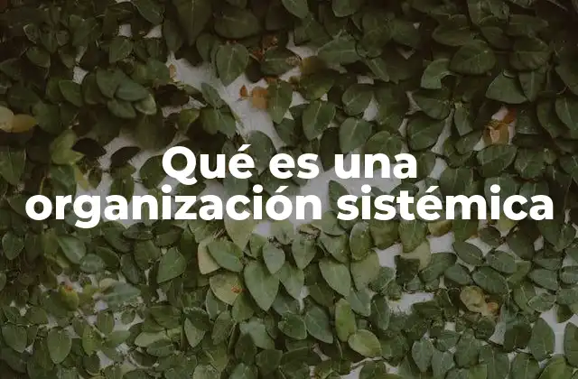 Qué es una Organización Sistémica