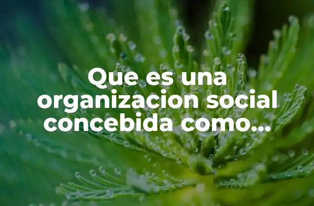 Que es una Organizacion Social Concebida como Sistema
