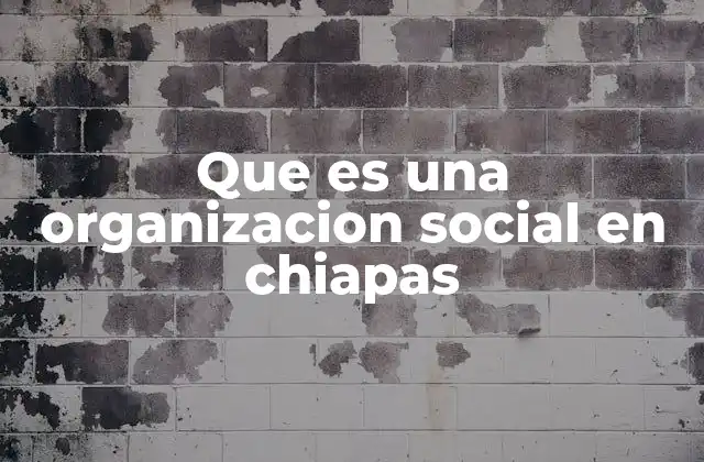Que es una Organizacion Social en Chiapas