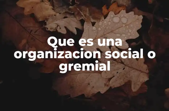 Que es una Organizacion Social o Gremial