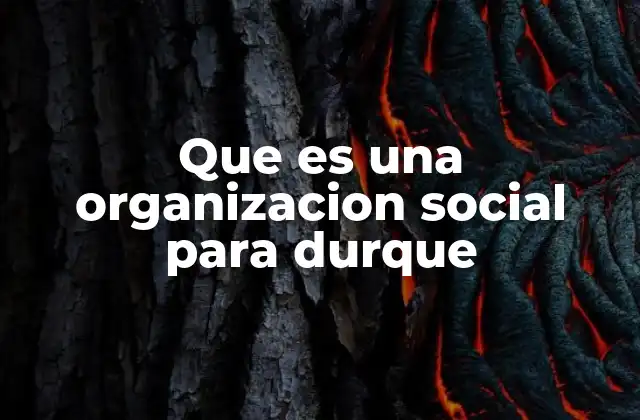 Que es una Organizacion Social para Durque