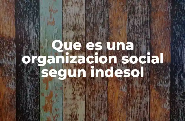 Que es una Organizacion Social Segun Indesol