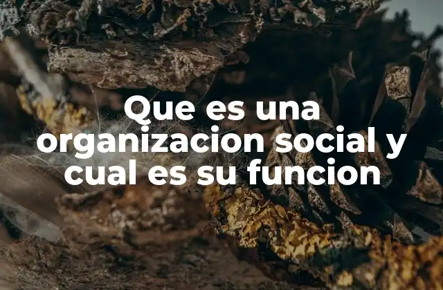 Que es una Organizacion Social y Cual es Su Funcion