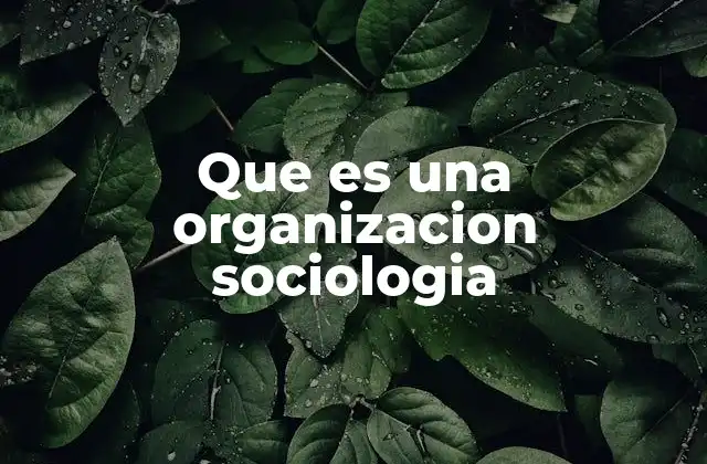 Que es una Organizacion Sociologia