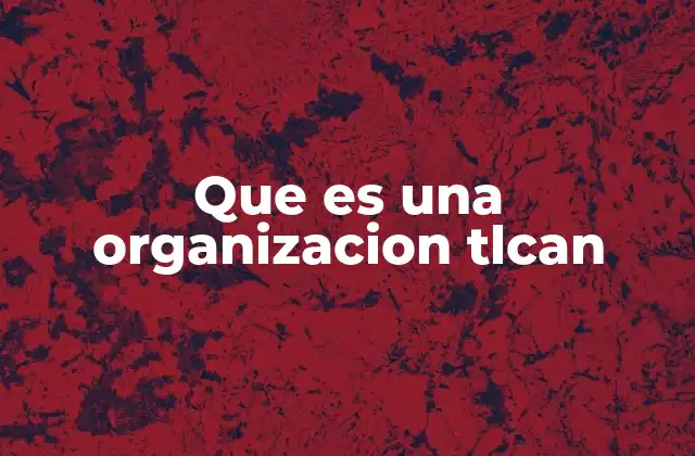 Que es una Organizacion Tlcan