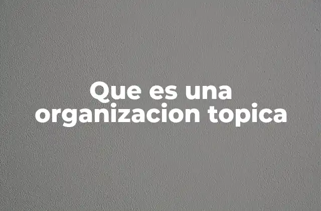 Que es una Organizacion Topica