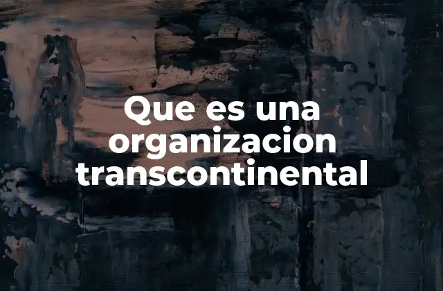 Que es una Organizacion Transcontinental