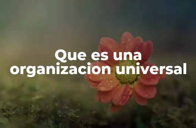 Que es una Organizacion Universal