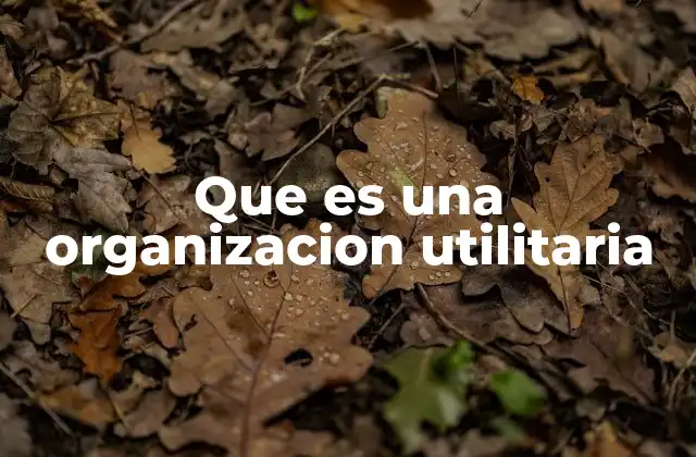 Que es una Organizacion Utilitaria