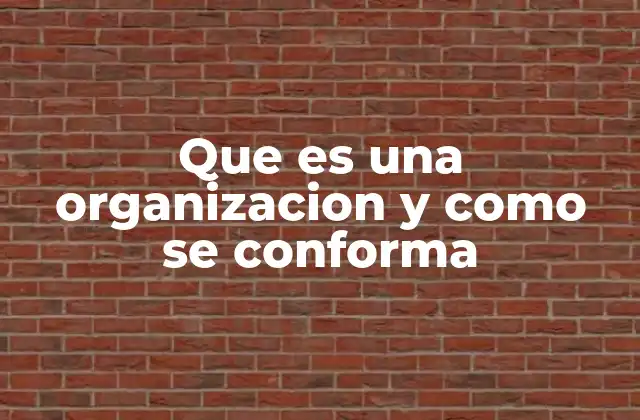 Los componentes esenciales de una organización