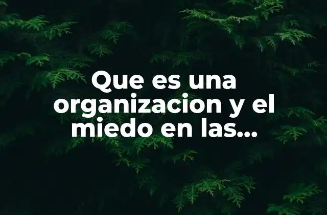 Que es una Organizacion y el Miedo en las Organizaciones