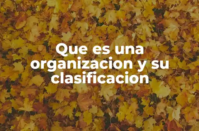 Que es una Organizacion y Su Clasificacion