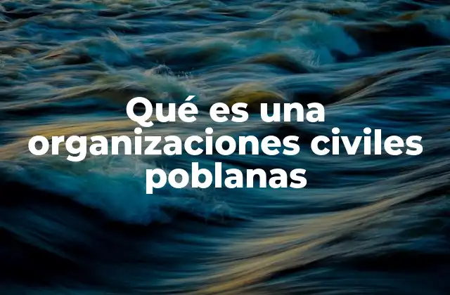 Qué es una Organizaciones Civiles Poblanas