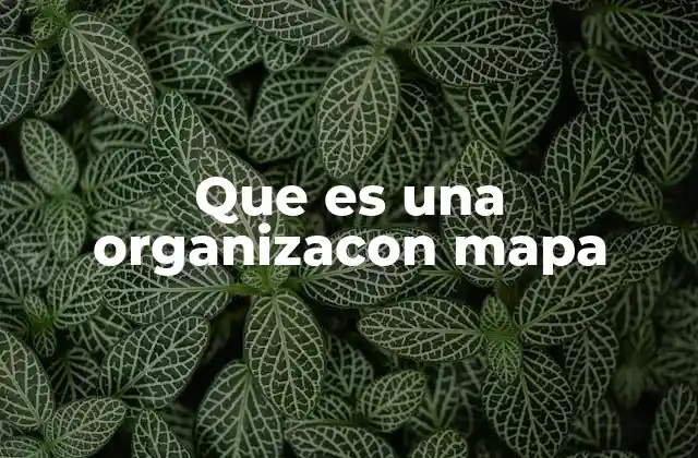Que es una Organizacon Mapa