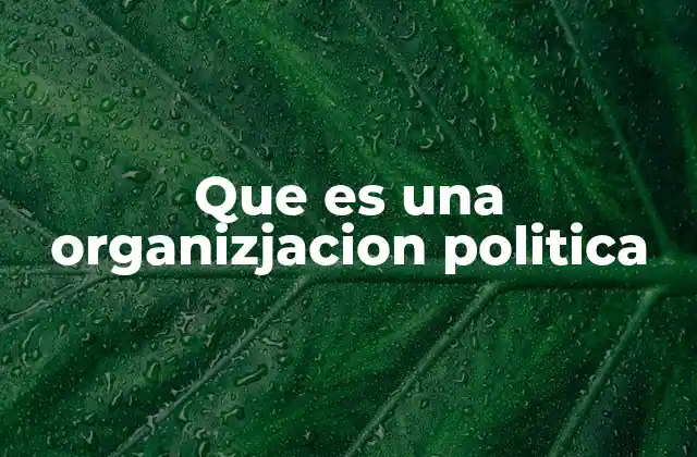 El papel de las organizaciones políticas en la democracia