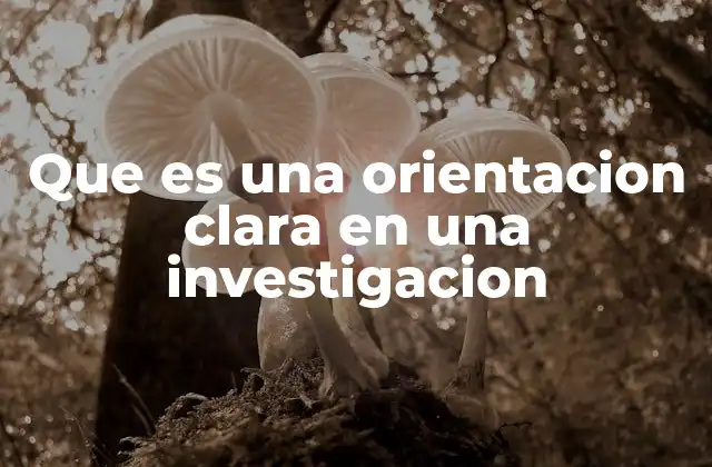 Que es una Orientacion Clara en una Investigacion