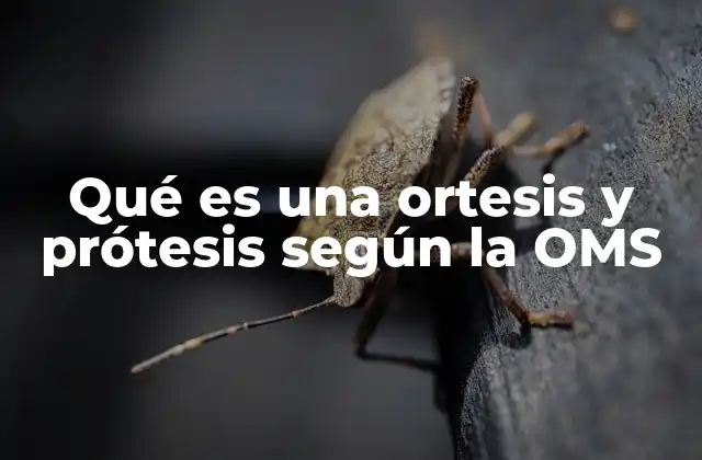 La importancia de los dispositivos médicos en la rehabilitación