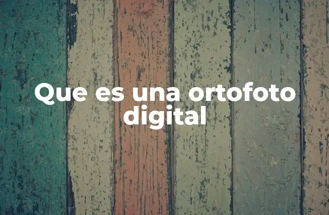 Que es una Ortofoto Digital