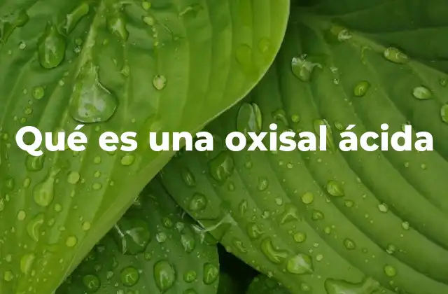 Qué es una Oxisal Ácida