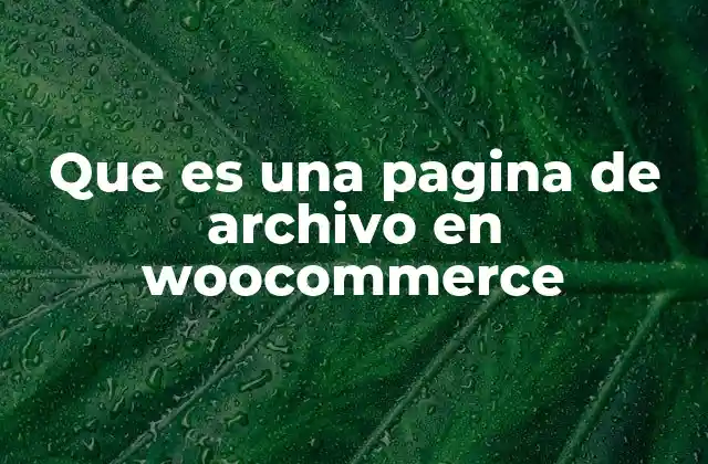 Que es una Pagina de Archivo en Woocommerce