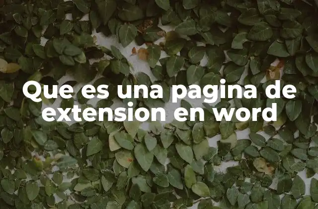 Que es una Pagina de Extension en Word