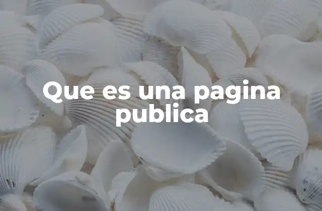 Que es una Pagina Publica