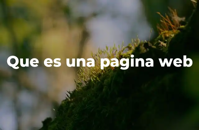 Que es una Pagina Web