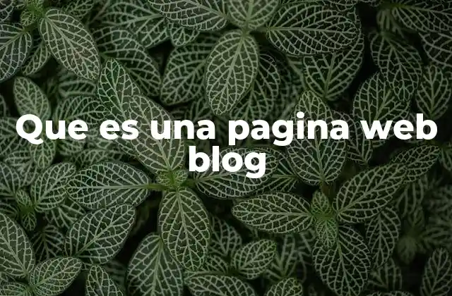 Que es una Pagina Web Blog
