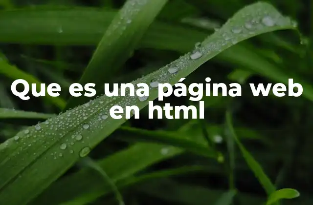 La importancia de HTML en el desarrollo web