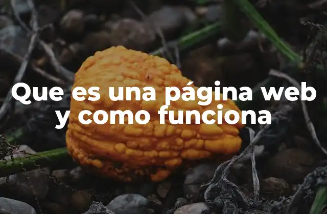 Que es una Página Web y como Funciona